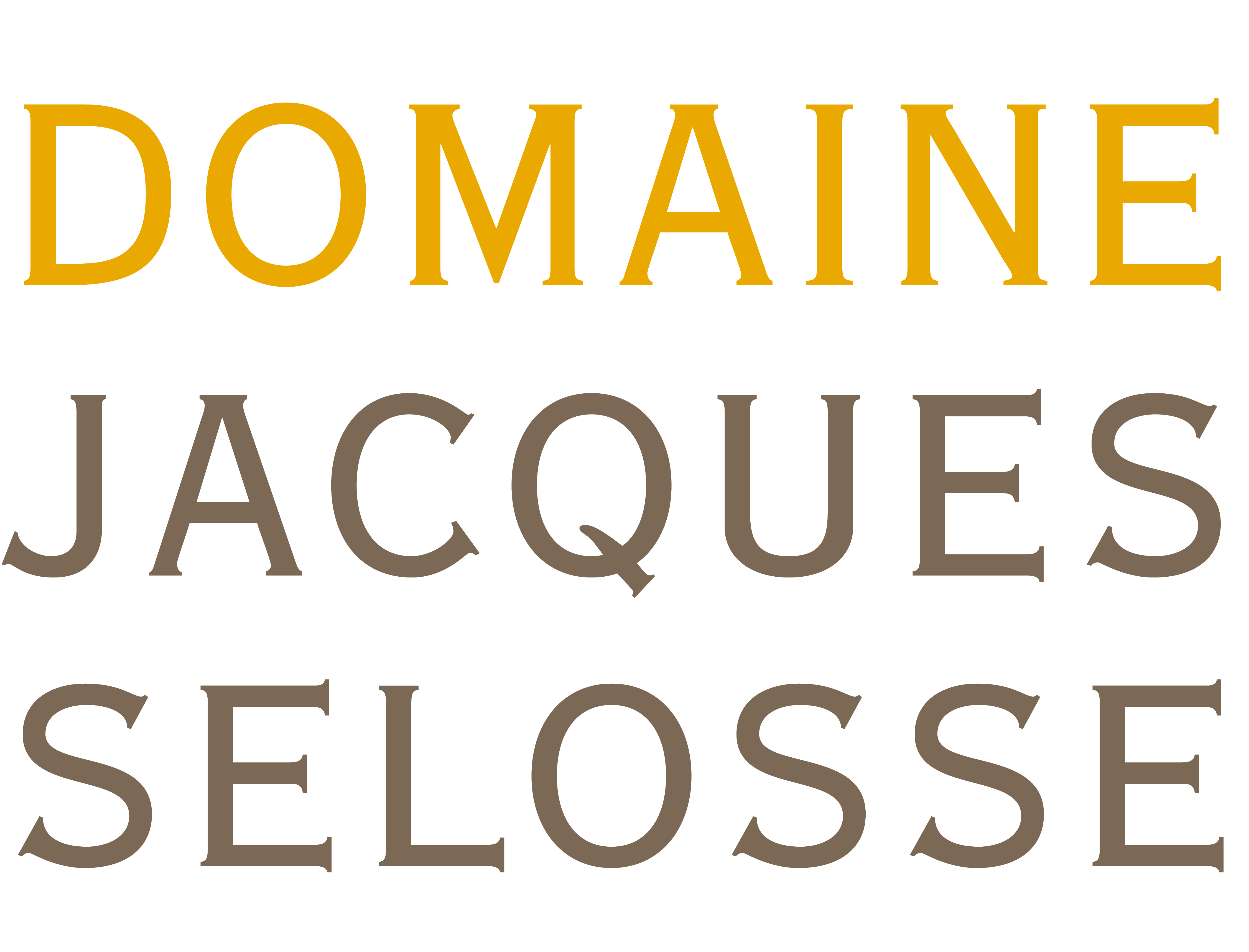 logo societe 