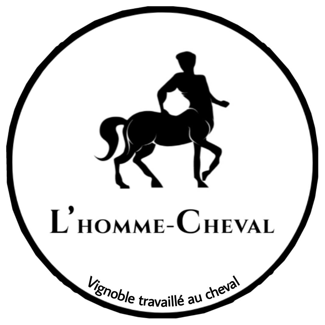 logo societe 